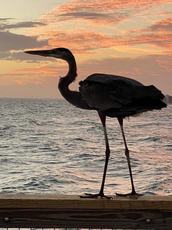 Apartment Romantic For 2-sunset Harbor Palms 1-205, Pool, Fishing Pier Navarre